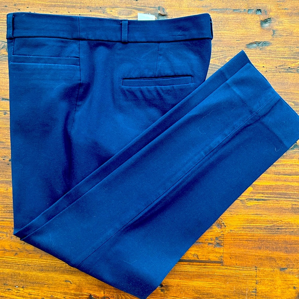 Banana Republic Sloan pants size 10.
